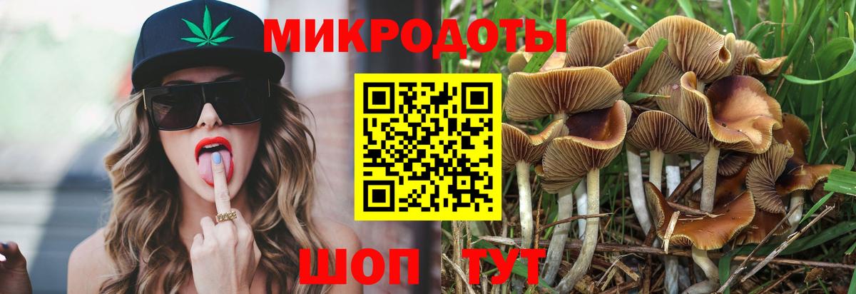 Галлюциногенные грибы прущие грибы Выборг