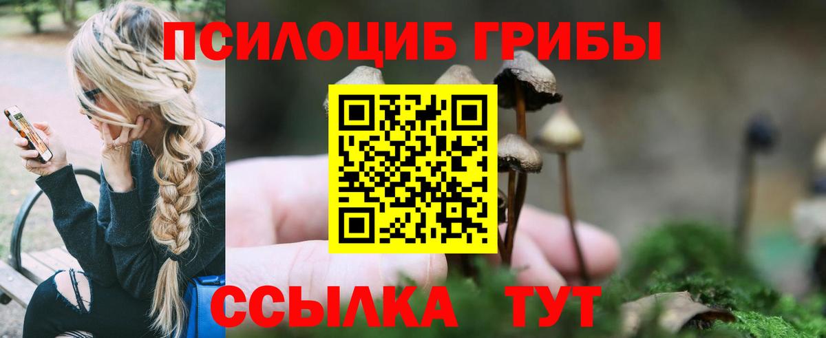 Выборг  Псилоцибиновые грибы Magic Shrooms  наркотики  Вход с VPN 